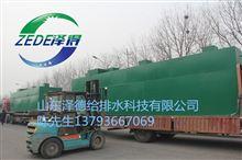 今日三乡新闻爆料热线电话,揭秘今日热点事件