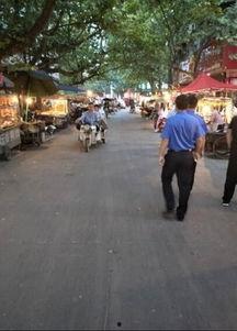 涡阳爆料丑事最新消息,最新进展揭秘惊人内幕